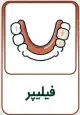 فیلیپر