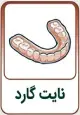 نایت گارد
