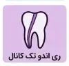 ری اندو تک کانال