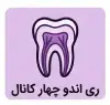 ری اندو چهار کانال